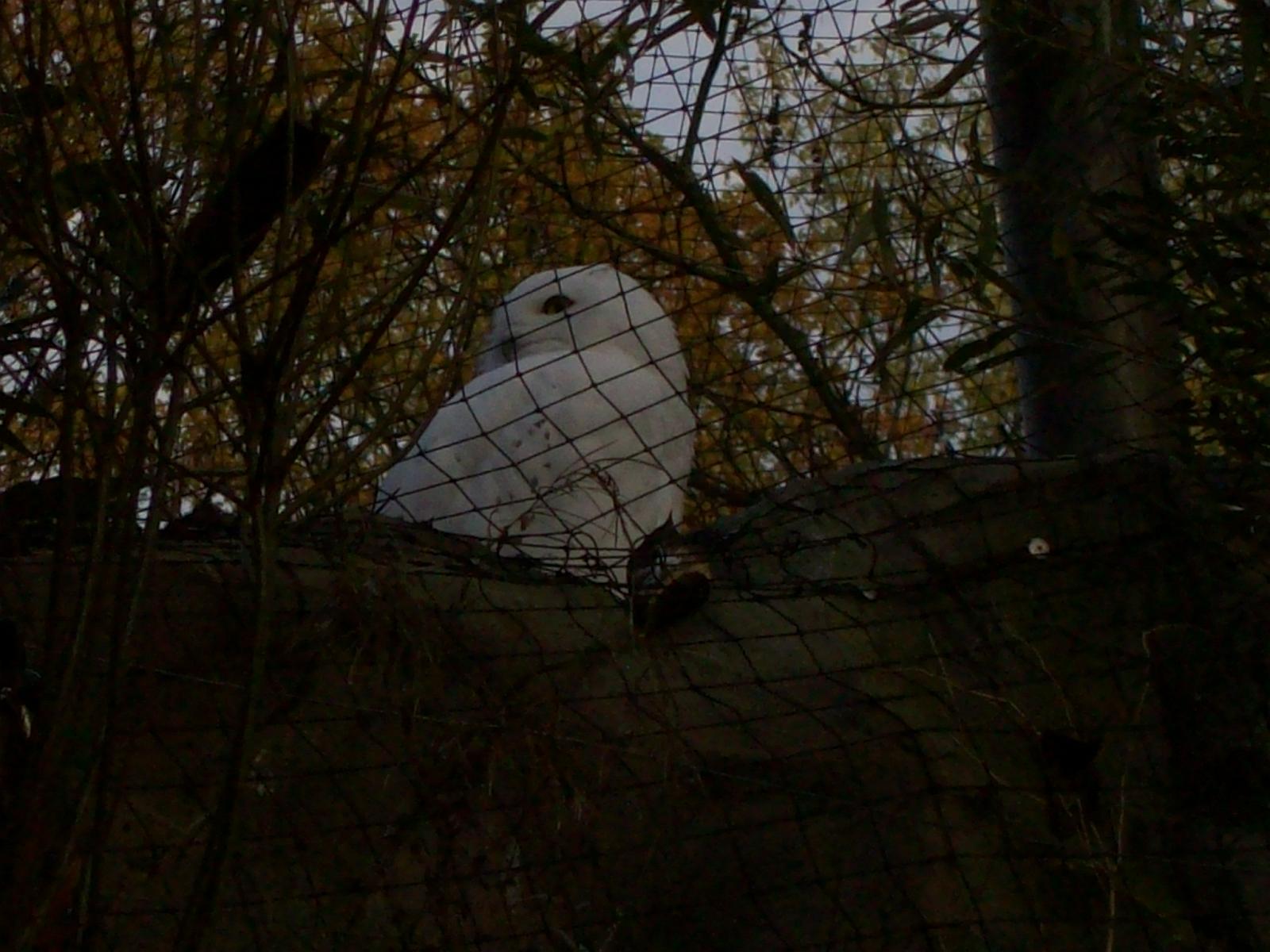 Zoom 18.10.2008-008.jpg